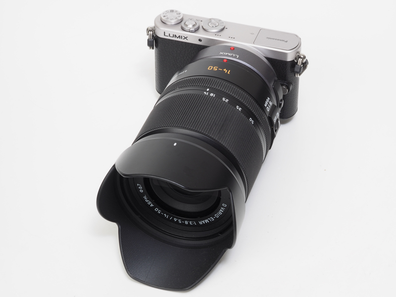 フォーサーズ時代の標準ズームレンズ「LEICA D VARIO-ELMAR 14-50mm/F3.8-5.6 ASPH./MEGA O.I.S.」を装着。AFは決して速くはないですがスムーズです。木にセミがとまっている感があります。