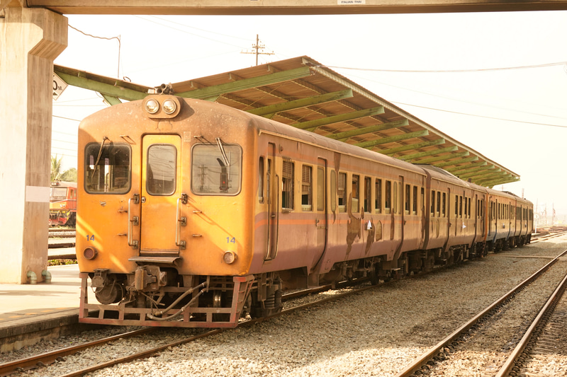 ソニーα9　FE 70-300mm F4.5-5.6 G OSS（83mm）　プログラムオート（F8、1/320秒）　ISO 800　WB:日陰（A+5）　スタンダード