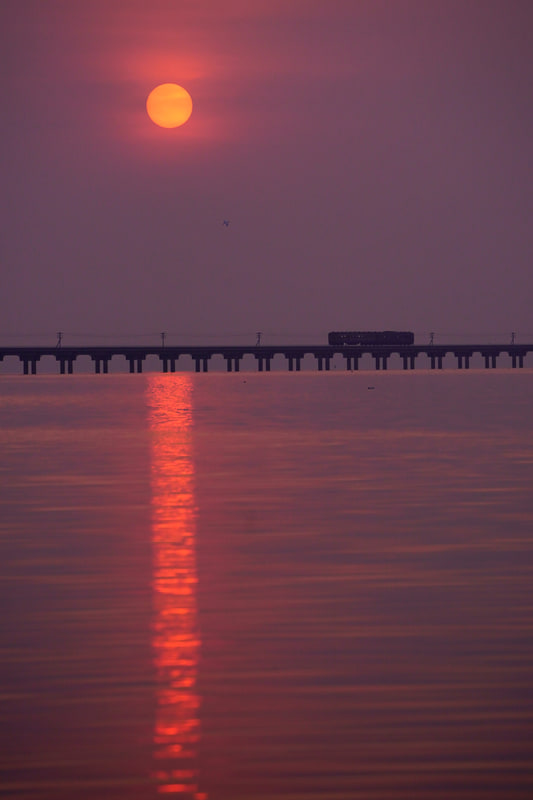 ソニーα9　FE 100-400mm F4.5-5.6 GM OSS（198mm）　マニュアル露出（F6.3、1/1,600秒）　ISO 800　WB:太陽光