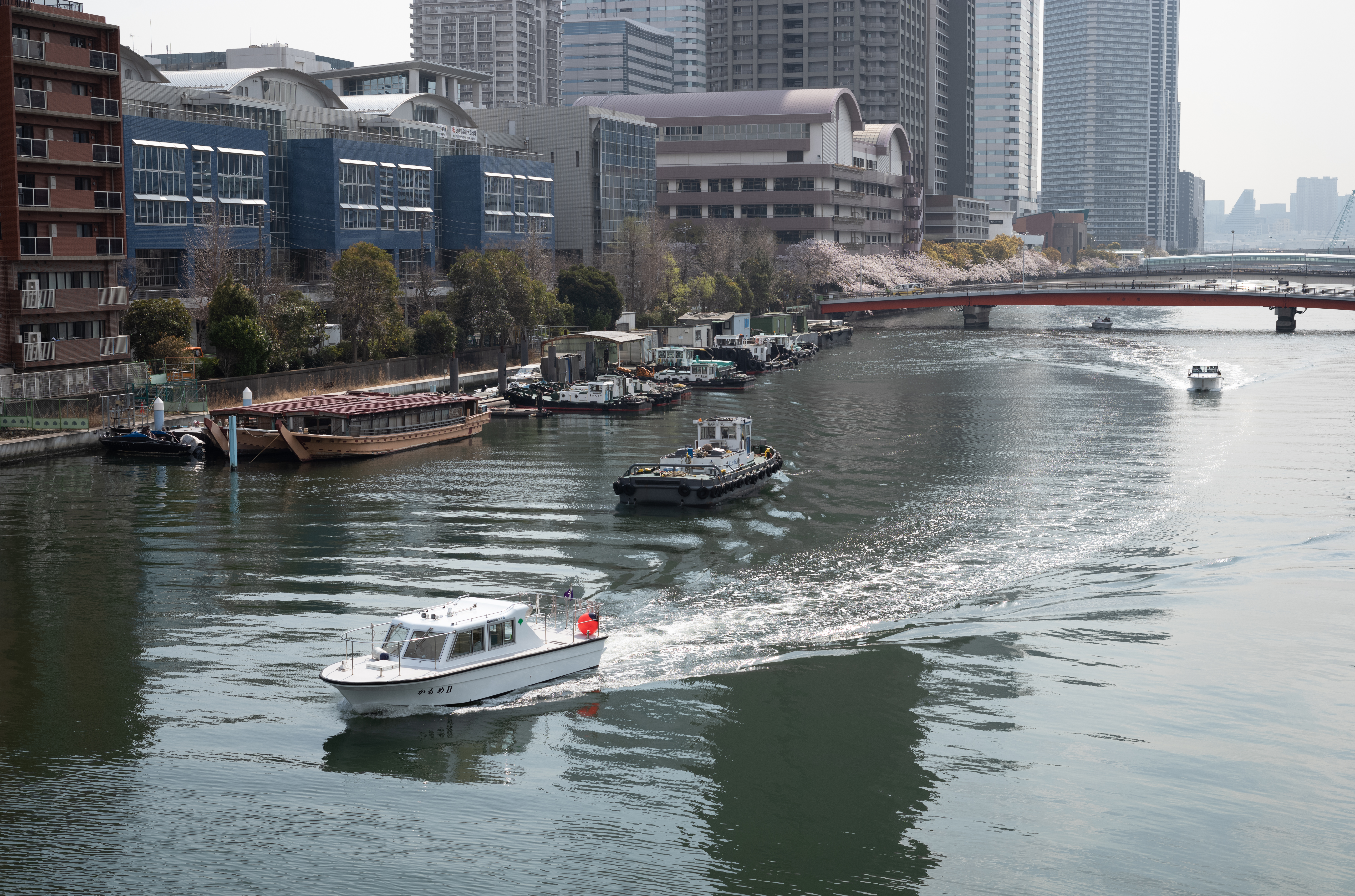 約4,000万画素でノートリミングの状態