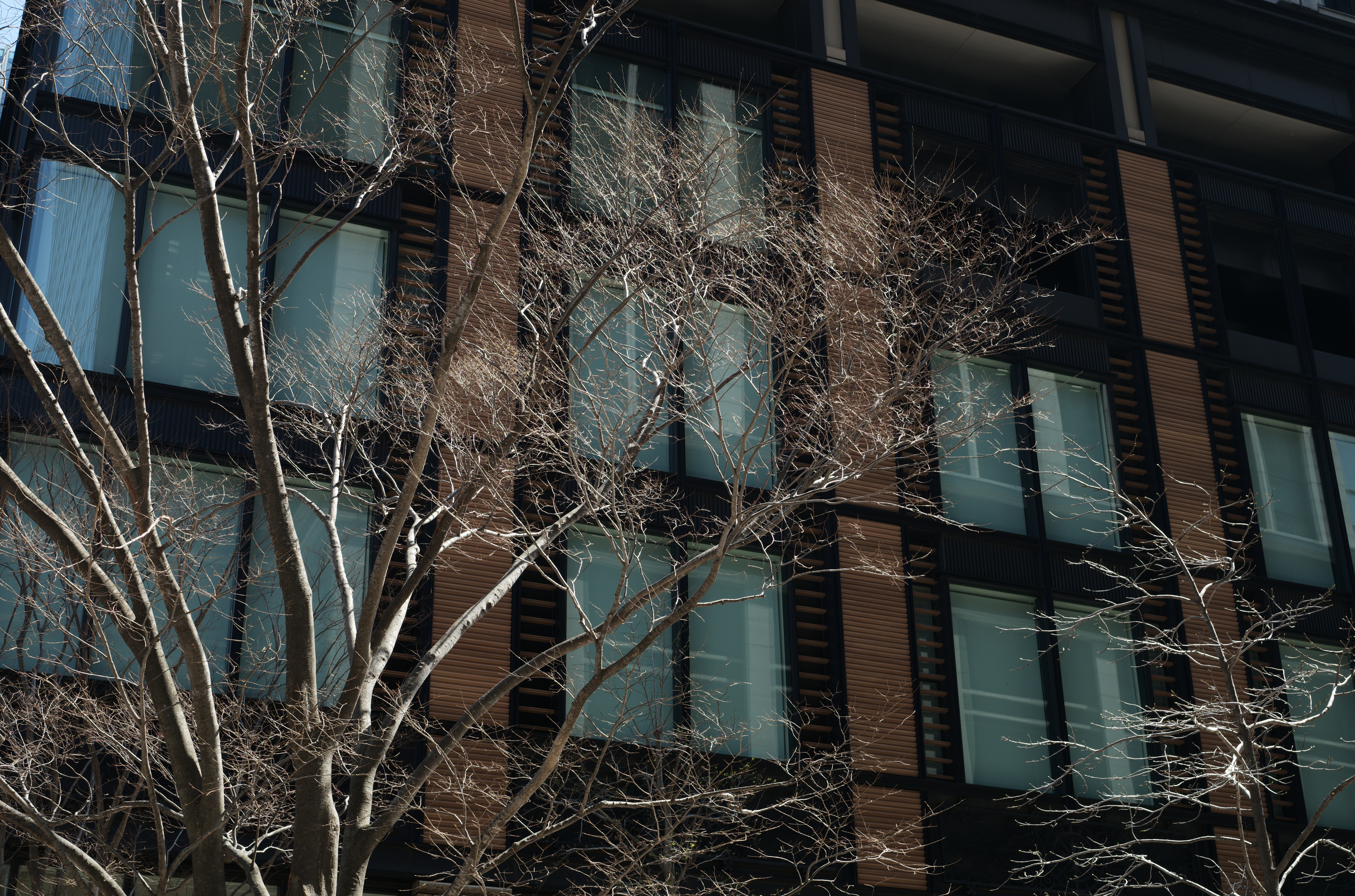 ライカM10-R　APO-SUMMICRON F2/50mm ASPH.（F8・1/90秒）ISO 100