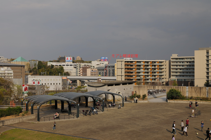 以下は、赤枠で示した付近の等倍切り出し。枠内はJPEGでモアレ処理が行われたと思われる箇所。RAW画像ではモアレは見えるが解像は落ちていない。