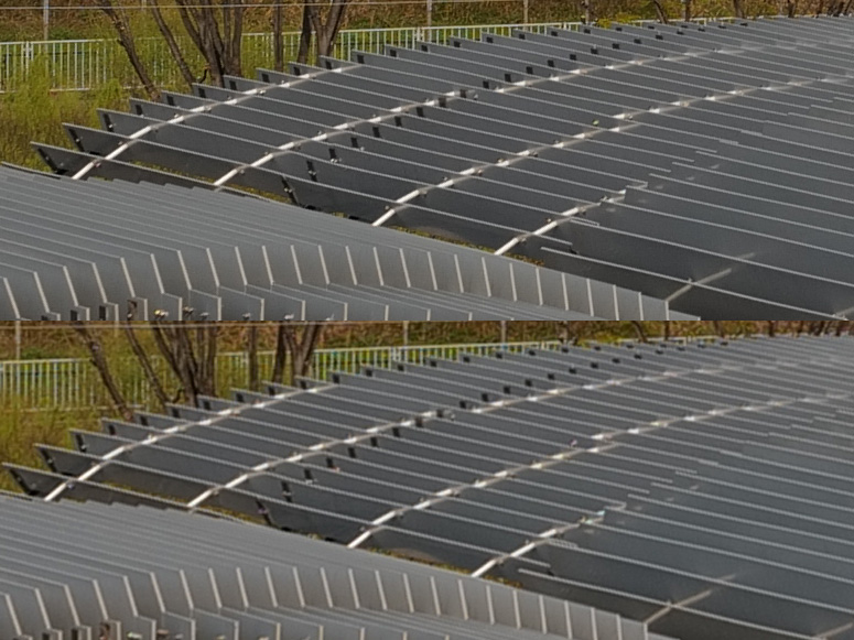 カメラ内JPEGより。上：SL2等倍切り出し　下：SL2-Sの同部分を上に合わせて拡大（クリックすると原寸画像を表示）