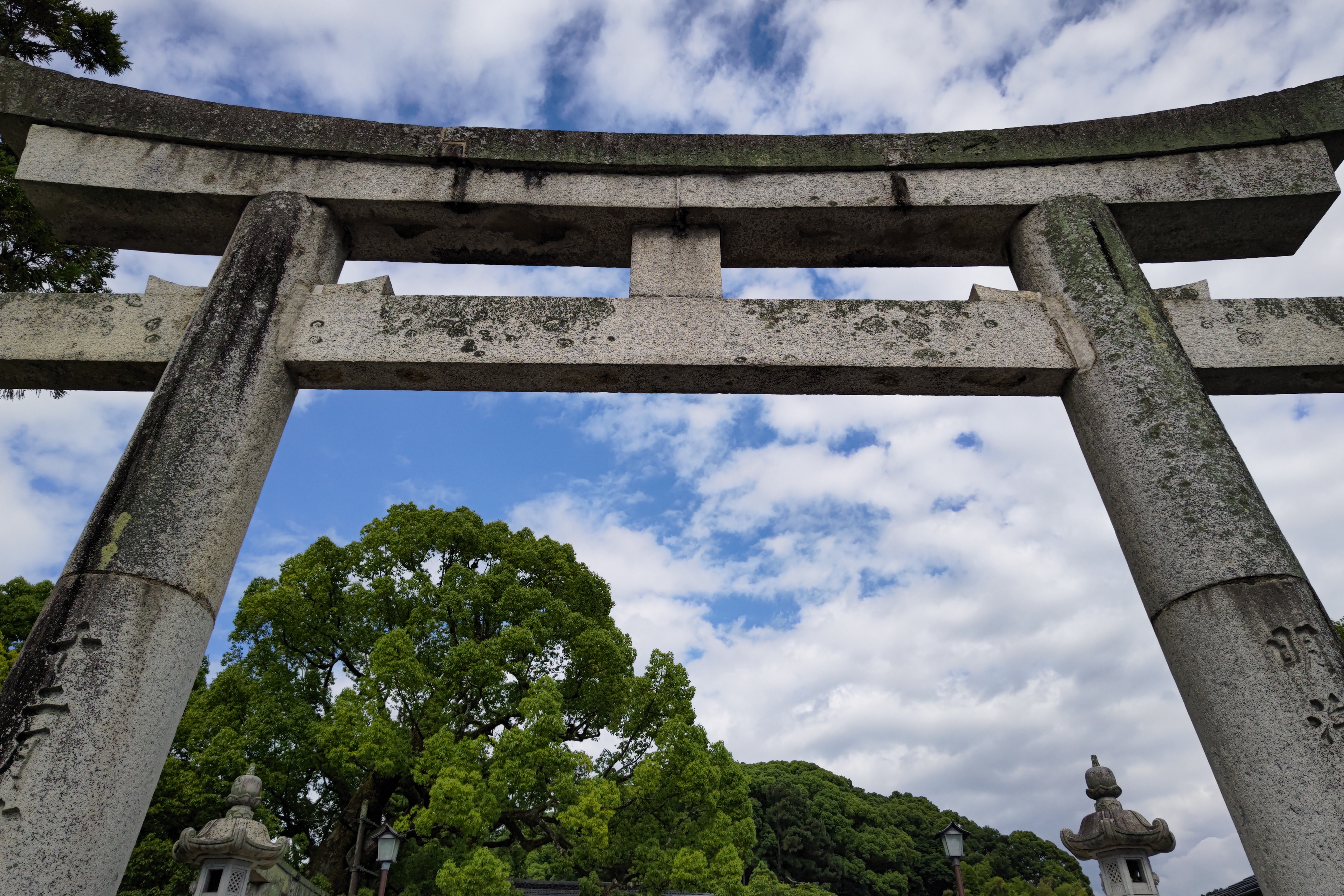 際立った質感と立体感、そして精緻な描写は、スマートフォンカメラというよりデジタルカメラという印象。色彩も自然だ<br>AQUOS R6　SUMMICRON 1:1.9/19 ASPH.（1/4,600秒）ISO 50