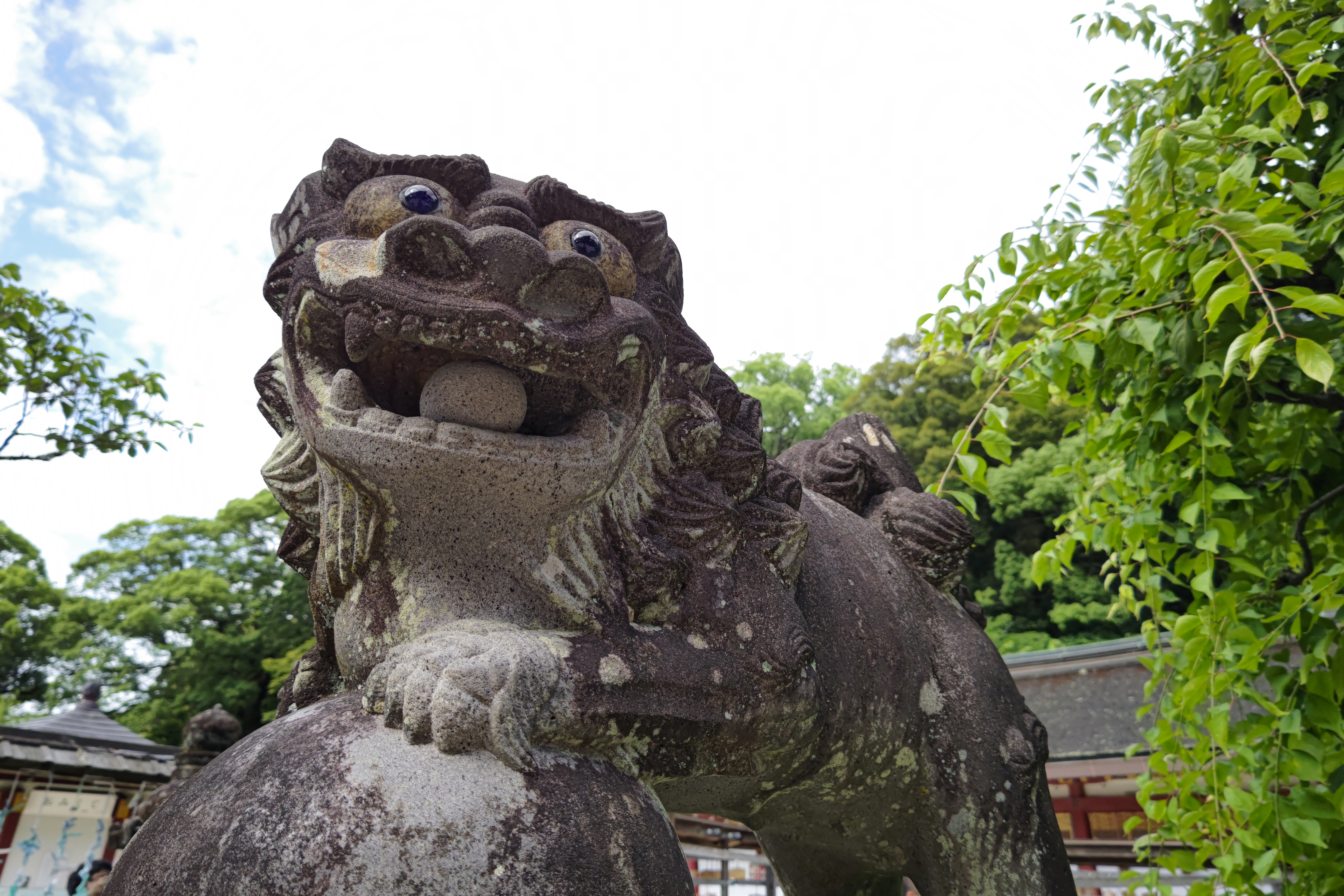 24mm相当の標準画角で撮影。デジタルズームのため、ボケ量は19mmの超広角撮影時と変わらない。なだらかにボケて立体感が際立つのは大型センサーのおかげ<br>AQUOS R6　SUMMICRON 1:1.9/19 ASPH.（1/1,000秒）ISO 50