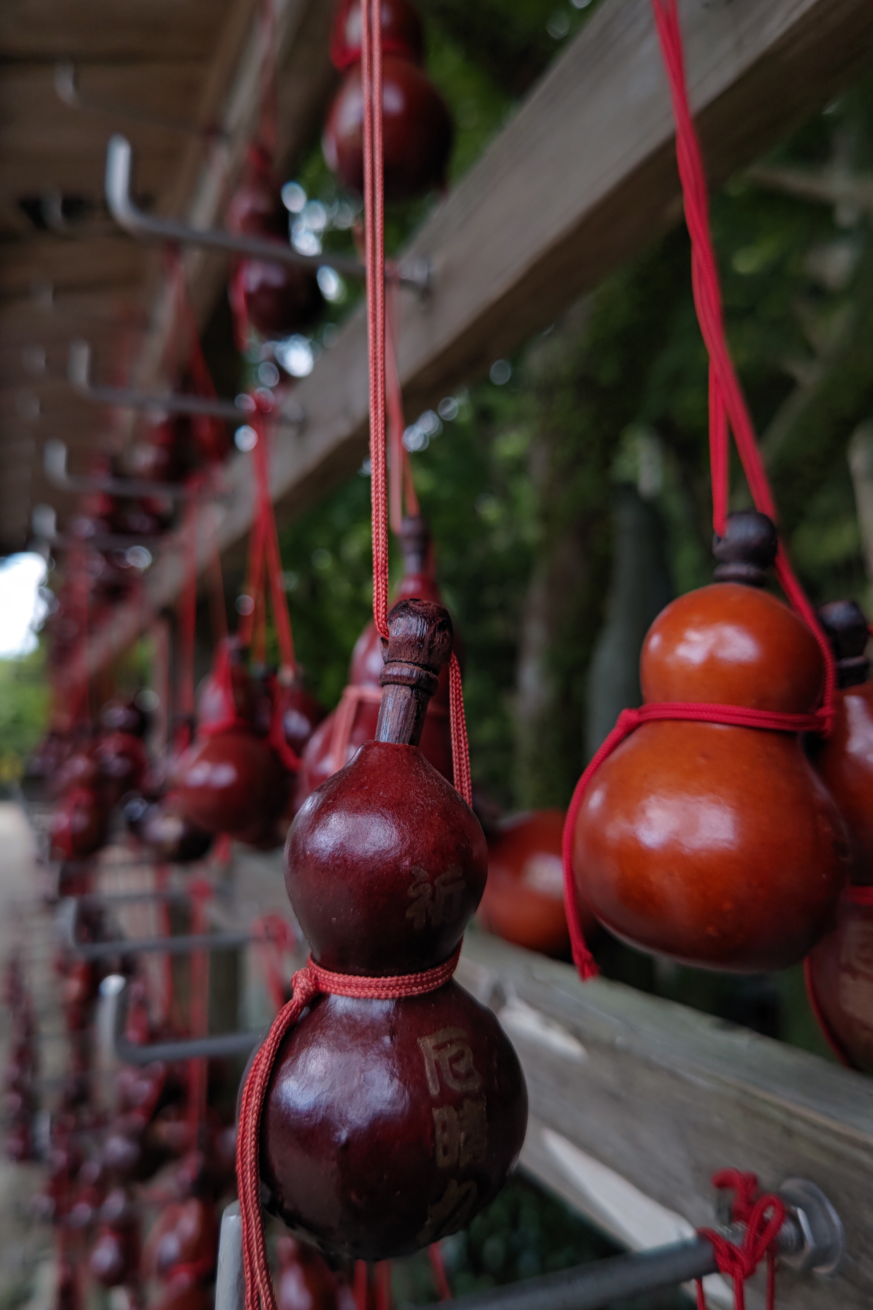 AQUOS R6　SUMMICRON 1:1.9/19 ASPH.（1/500秒）ISO 50