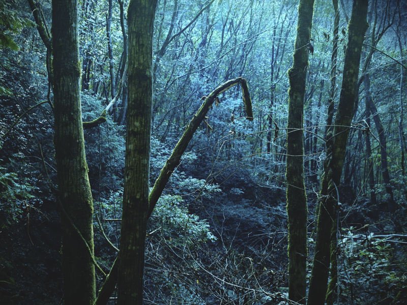 撮影開始当初は広角側で撮影していたが、途中で標準側に切り替えた。16mm相当の超広角から50mm相当の標準まで、1本だけで仕上がりがまったく異なる写真が撮れる。<br><span class="fnt-85">OM-D E-M1X / 25mm（50mm相当） / マニュアル露出（F4・1/80秒） / ISO 200</span>