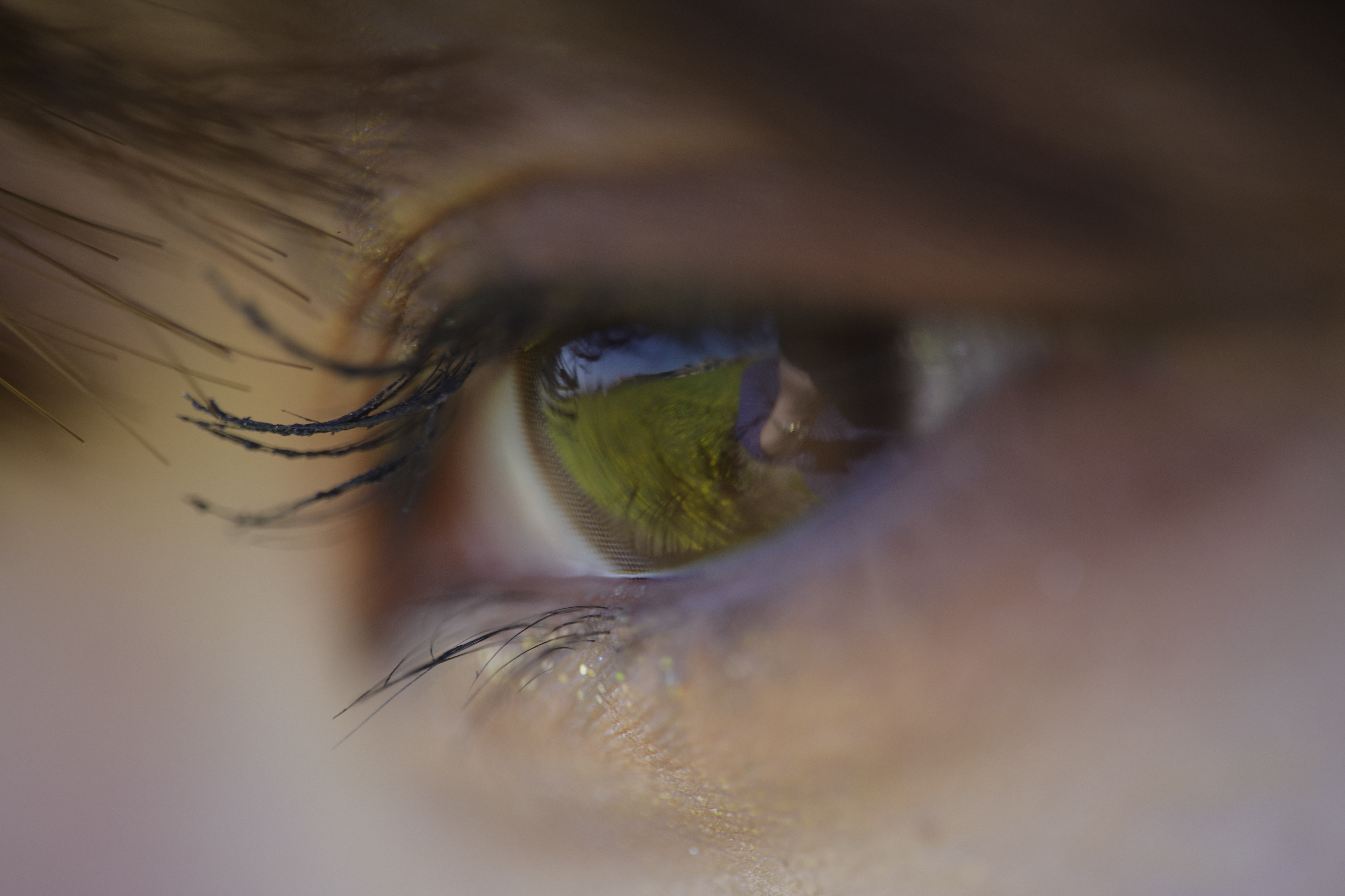 <span class="fnt-85">Z 7II / MACRO APO-LANTHAR 110mm F2.5 / マニュアル露出（F2.5・1/250秒） / ISO 200</span>