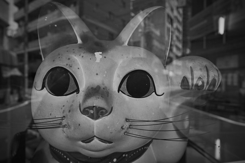 年代ものの招き猫が古い商店のウインドウにありまして、最短撮影距離0.18mで撮影してみました。ビクともしない優れた描写です。通りすがりの人に変な目で見られても撮影を続行するのがプロです。<br>dp0 Quattro（F4.5・1/500秒）ISO 400