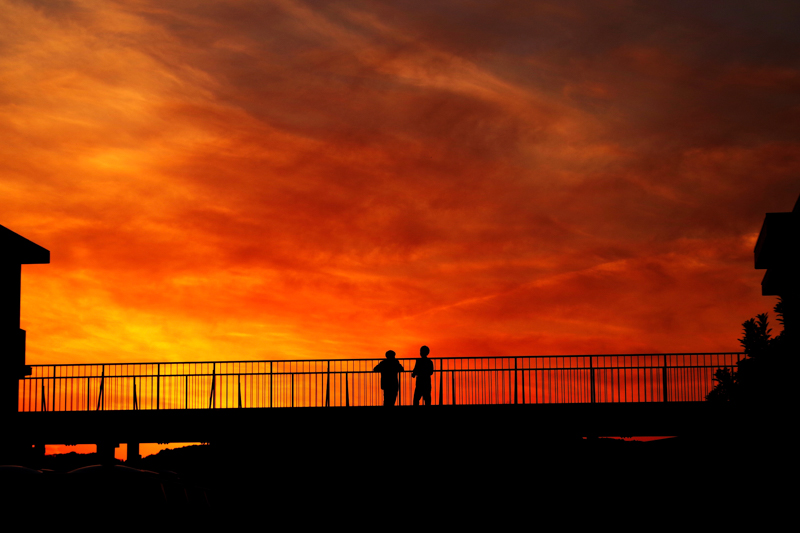 <span class="fnt-85">第11回グランプリ受賞作品「未来の話をしようよ」（岐阜県立大垣西高等学校・岩田直樹さん）。作品コメントは「明日の方を向かって、未来の話をしようよ。君と見た夕暮れは今まで見たどの夕暮れよりも最高に綺麗だった。この先の未来を予感するみたいに。」</span>