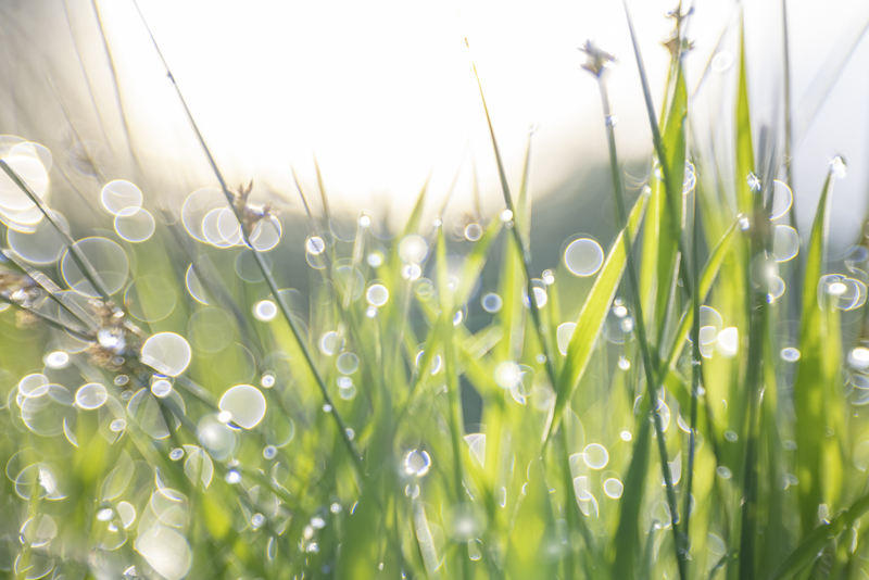 EOS R5 / 絞り優先AE（F2.8、1/200秒、＋1.7EＶ） / ISO 100 / WB：オート / SA＋3