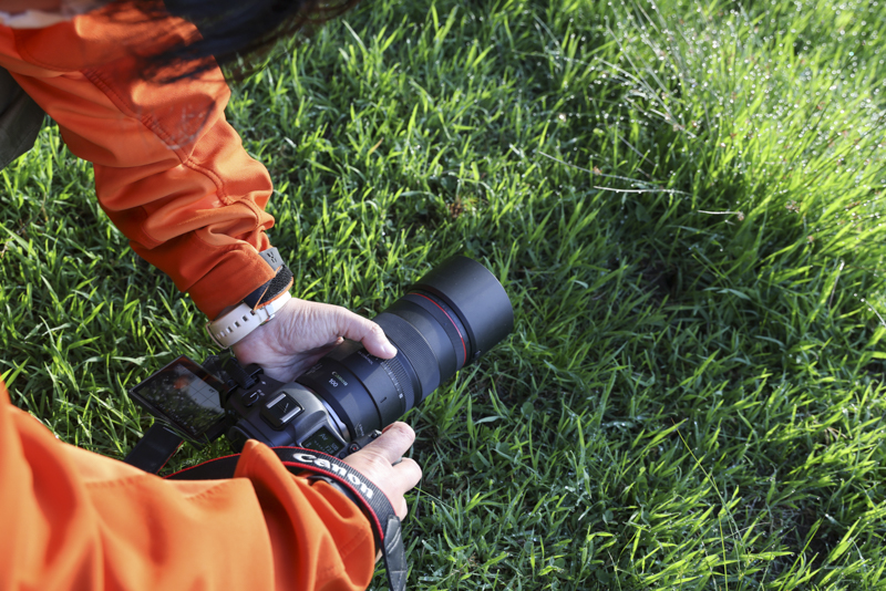 EOS R5 / 絞り優先AE（F2.8、1/200秒、＋1.7EＶ） / ISO 100 / WB：オート / SA＋3