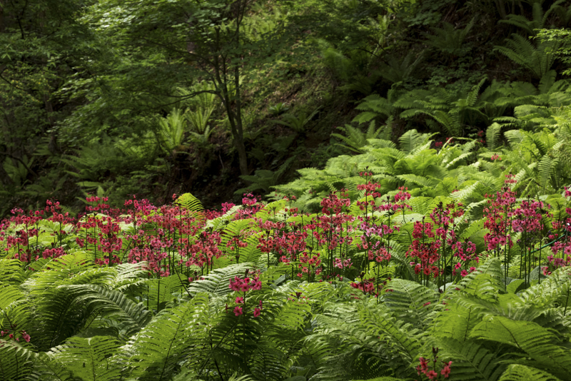 EOS R5 / 絞り優先AE（F13、1/20秒、－1.0EV） / ISO 320 / WB：オート