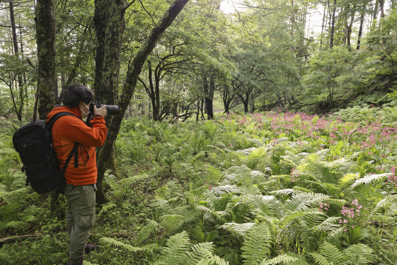 EOS R5 / 絞り優先AE（F13、1/20秒、－1.0EV） / ISO 320 / WB：オート