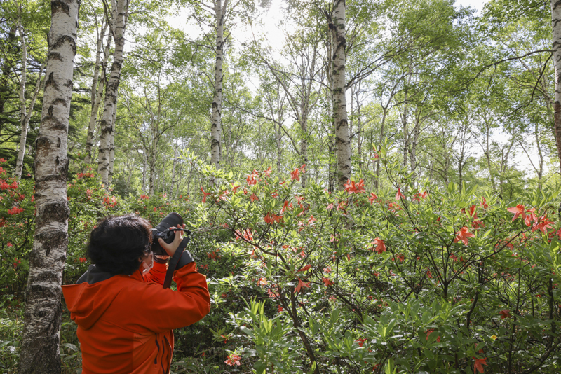 EOS R5 / 絞り優先AE（F2.8、1/50秒、±0EV） / ISO 250 / WB：オート / SA＋4