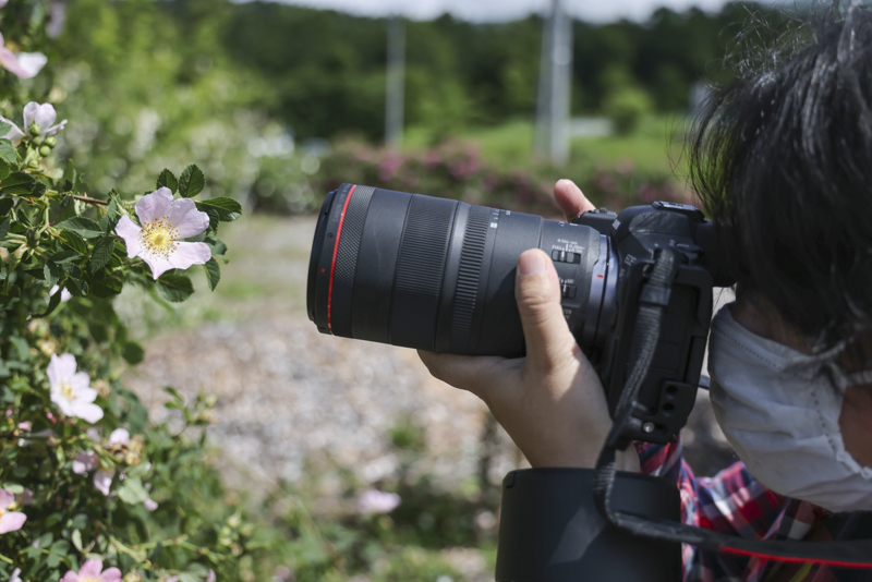 EOS R5 / 絞り優先AE（F2.8、1/1,000秒、＋1.0EV） / ISO 100 / WB：オート