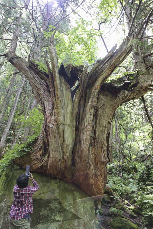 EOS R5 / 100mm / 絞り優先AE（F2.8、1/100秒、-2.0EV） / ISO 100 / WB：オート