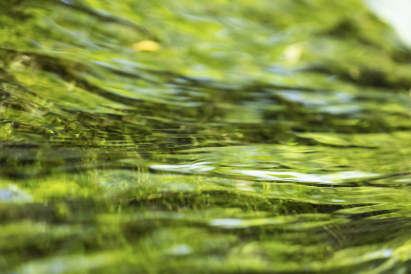 EOS R5 / 絞り優先AE（F2.8、1/160秒、＋0.3EV） / ISO 4000 / WB：オート