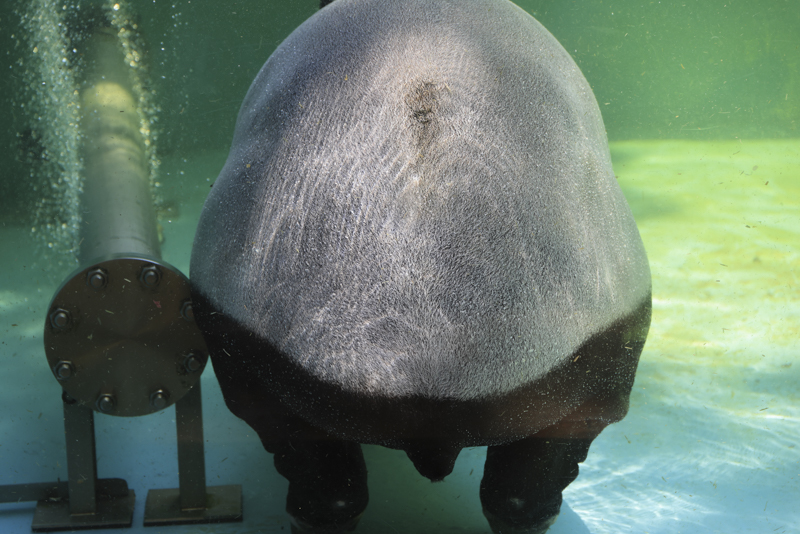 EOS R5 / 24-105mm F4 DG OS HSM｜Art / 105mm / 絞り優先AE（1/400秒・F4.5・±0.0EV） / ISO 400