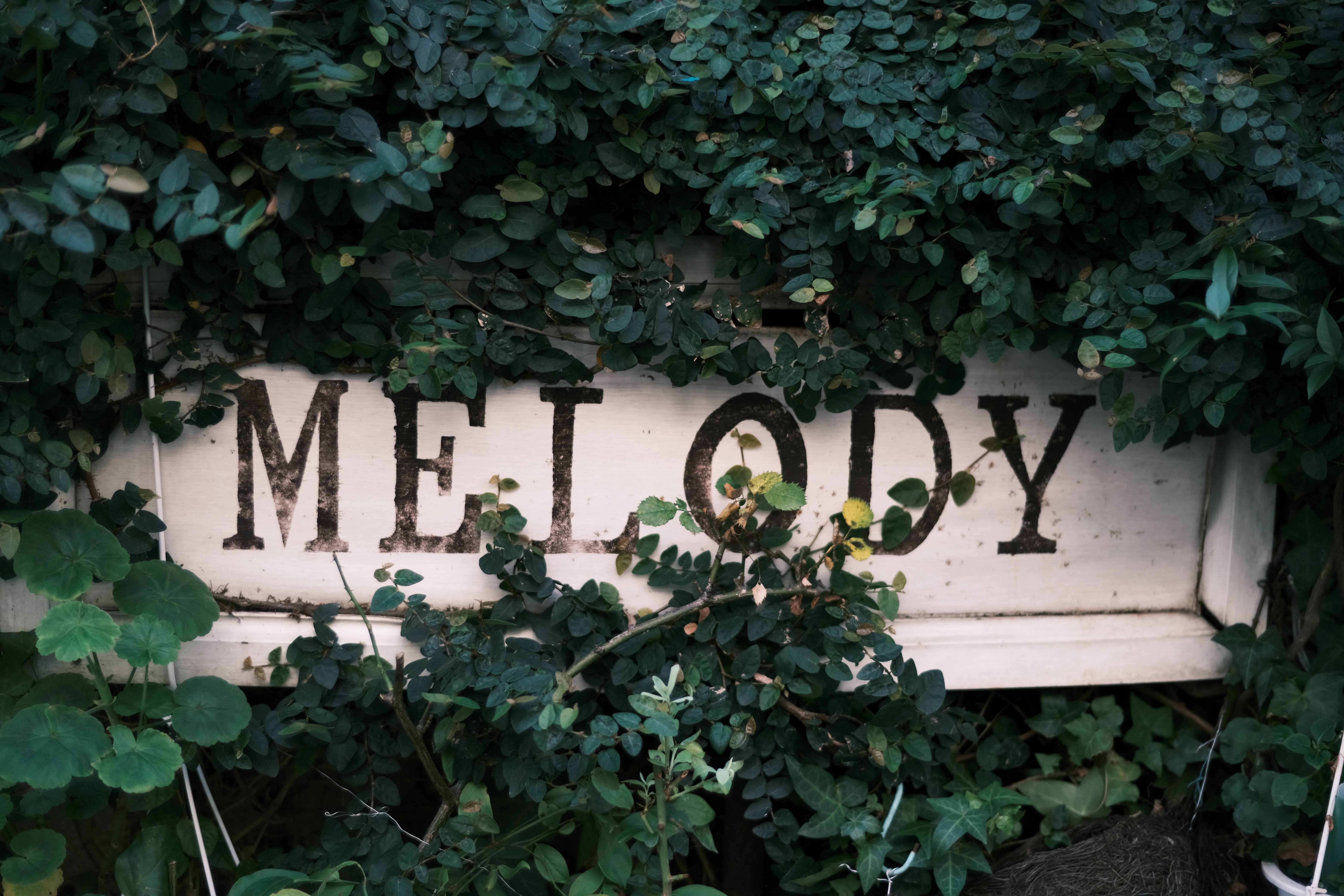 F1.4（絞り優先AE：1/750秒・-0.3EV・ISO 160）