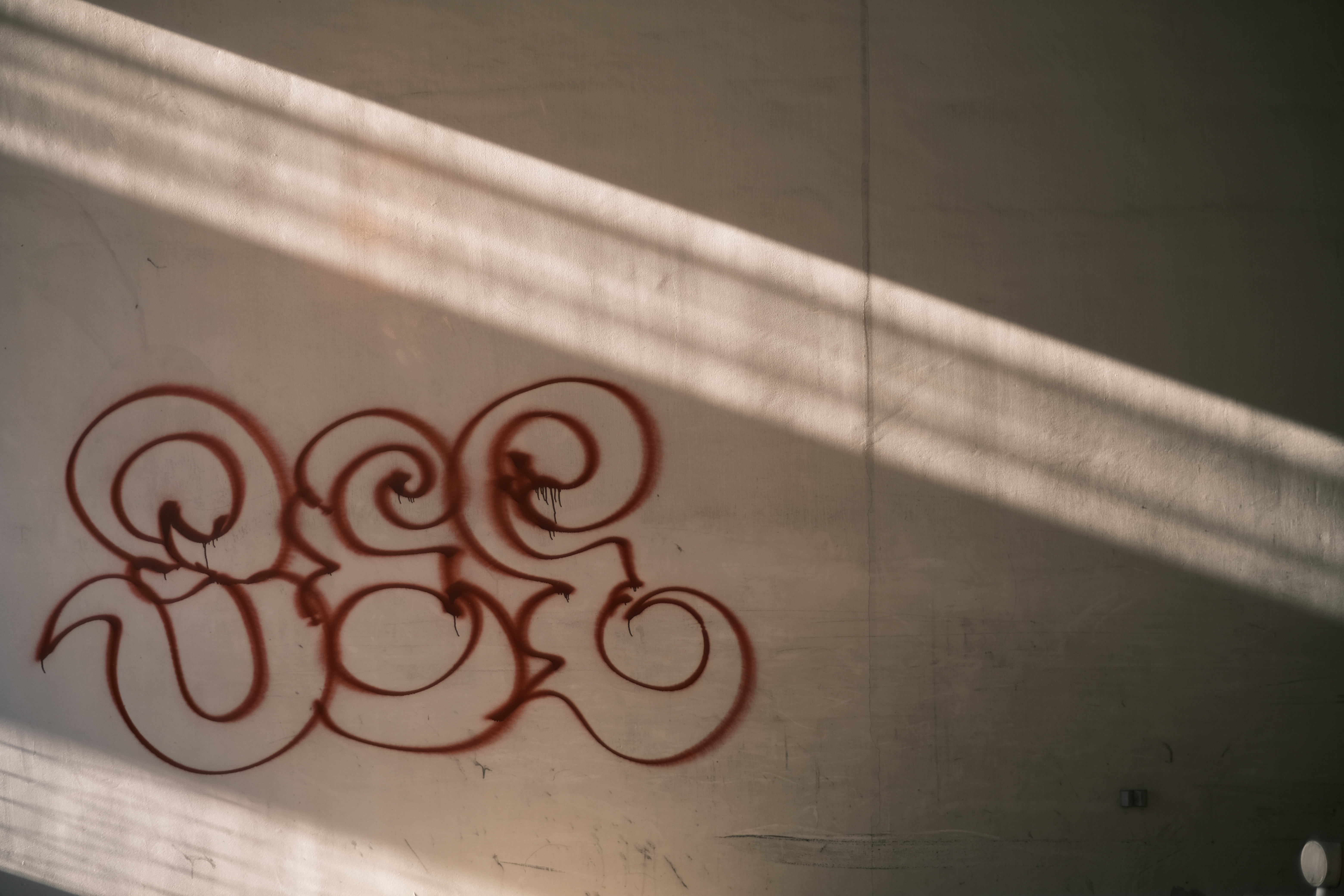 F1.2（絞り優先AE：1/1,500秒・±0EV・ISO 160）