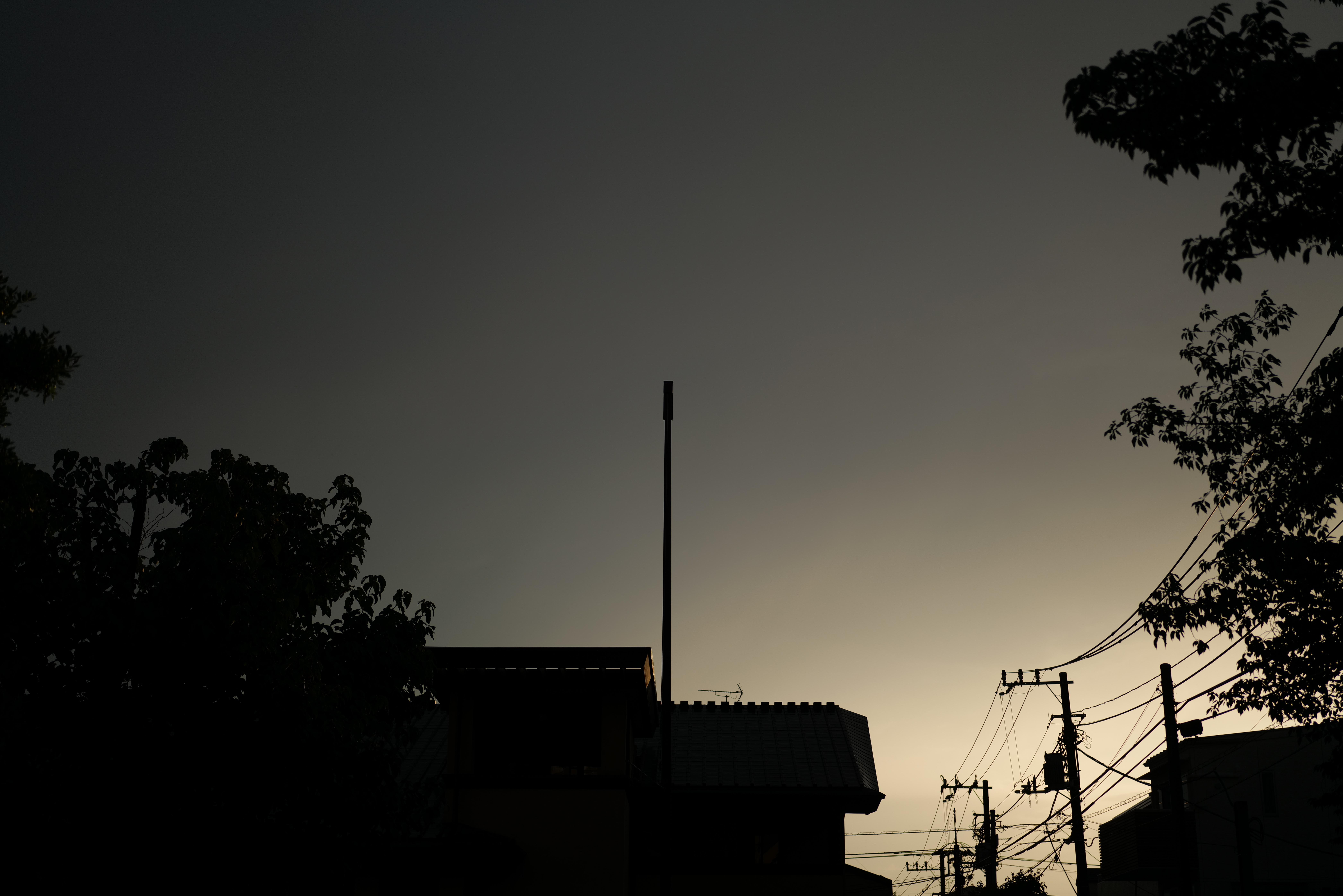 <span class="fnt-85">LUMIX S1R / LUMIX S 50mm F1.8 / 絞り優先AE（F1.8・1/4,000秒・-1.0EV） / ISO 100</span>