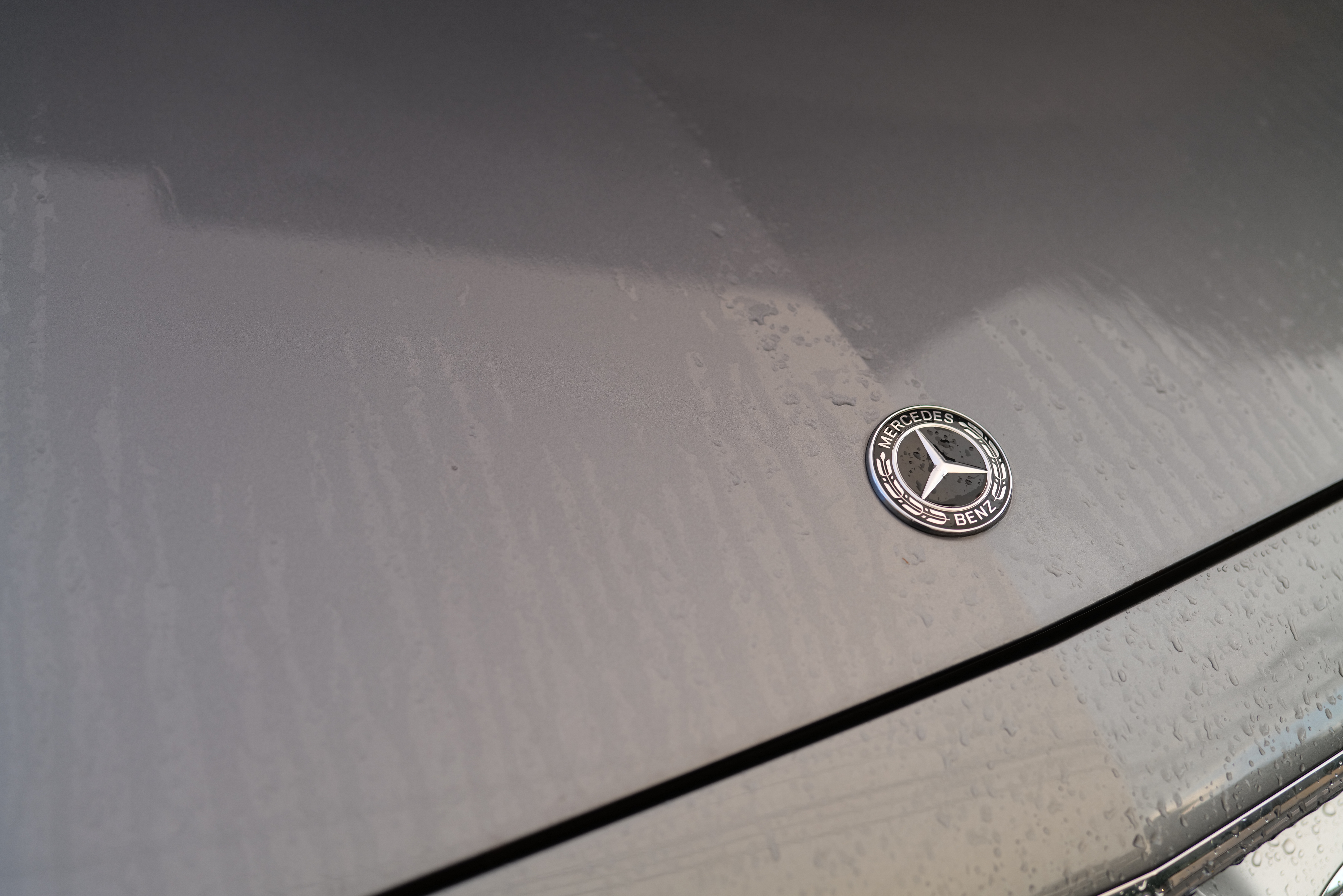 <span class="fnt-85">LUMIX S1R / LUMIX S 50mm F1.8 / 絞り優先AE（F2.8・1/60秒・±0EV） / ISO 400</span>