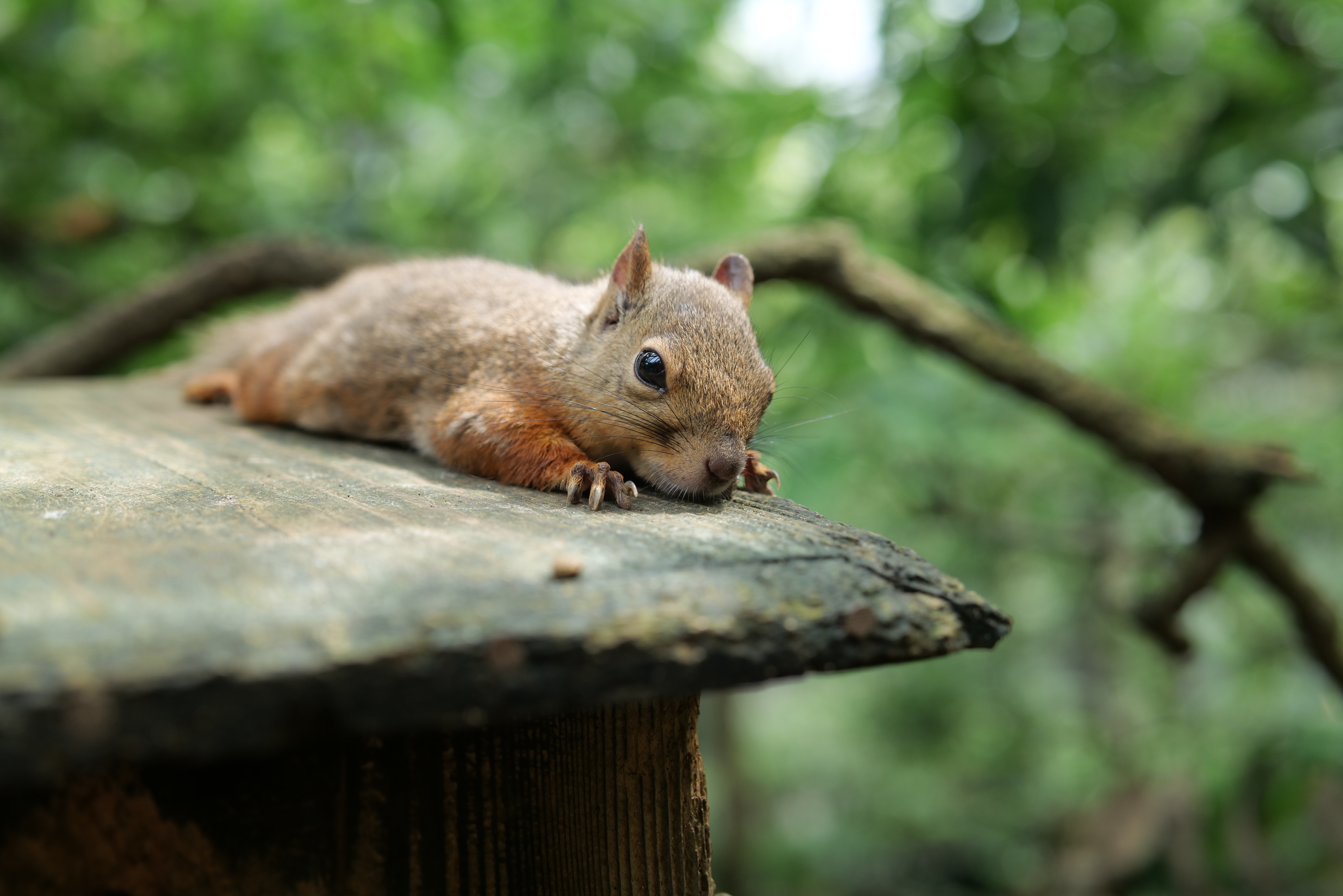<span class="fnt-85">LUMIX S1R / LUMIX S 50mm F1.8 / マニュアル露出（F4・1/250秒） / ISO 500</span>