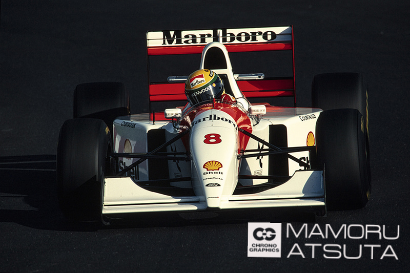 EOS-1 HS　EF600mm F4L USM（F13・1/500秒）KR