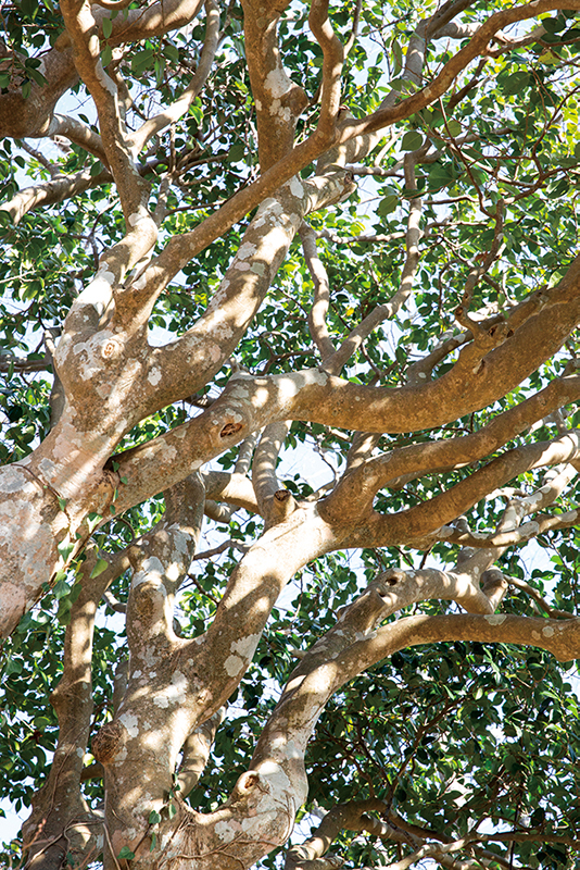 川崎璃乃「石巻にて」