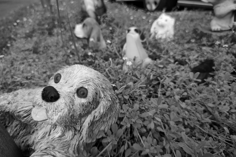 最短撮影距離で背景のボケを見ました。カメラが被写体に近づきすぎると「離れて撮影してください」というアラートが出て、イラつかせてくれます。ボケはなかなか暴れます。ですがこうしたグチャグチャっとしたボケも個人的には嫌いではありません。<br>Leitz Phone 1（F1.9・1/2,200秒）ISO 50