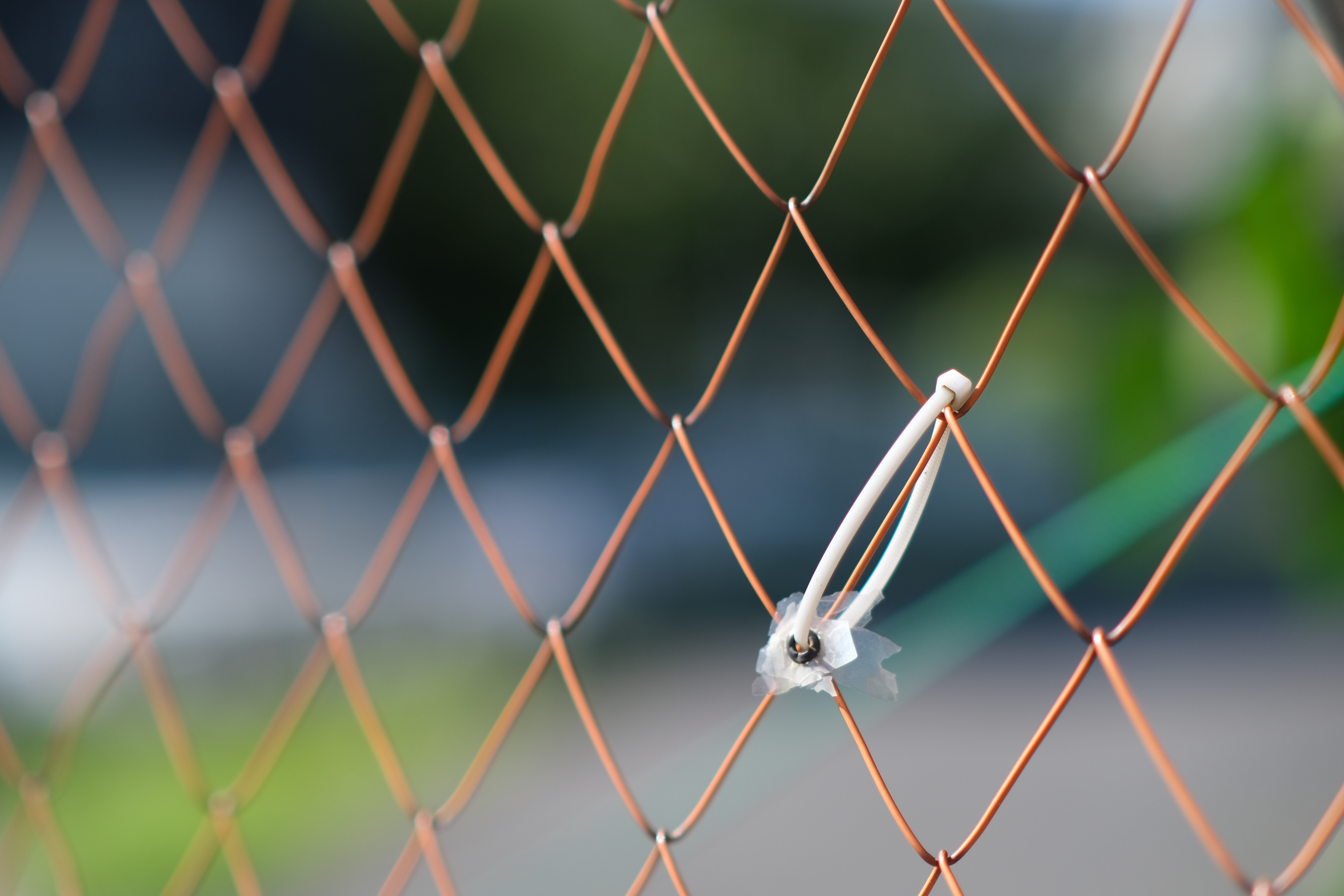 <span class="fnt-85">X-T4 / atx-m 56mm F1.4 X / 絞り優先AE（F1.4・1/4,400秒・-0.3EV） / ISO 160</span>