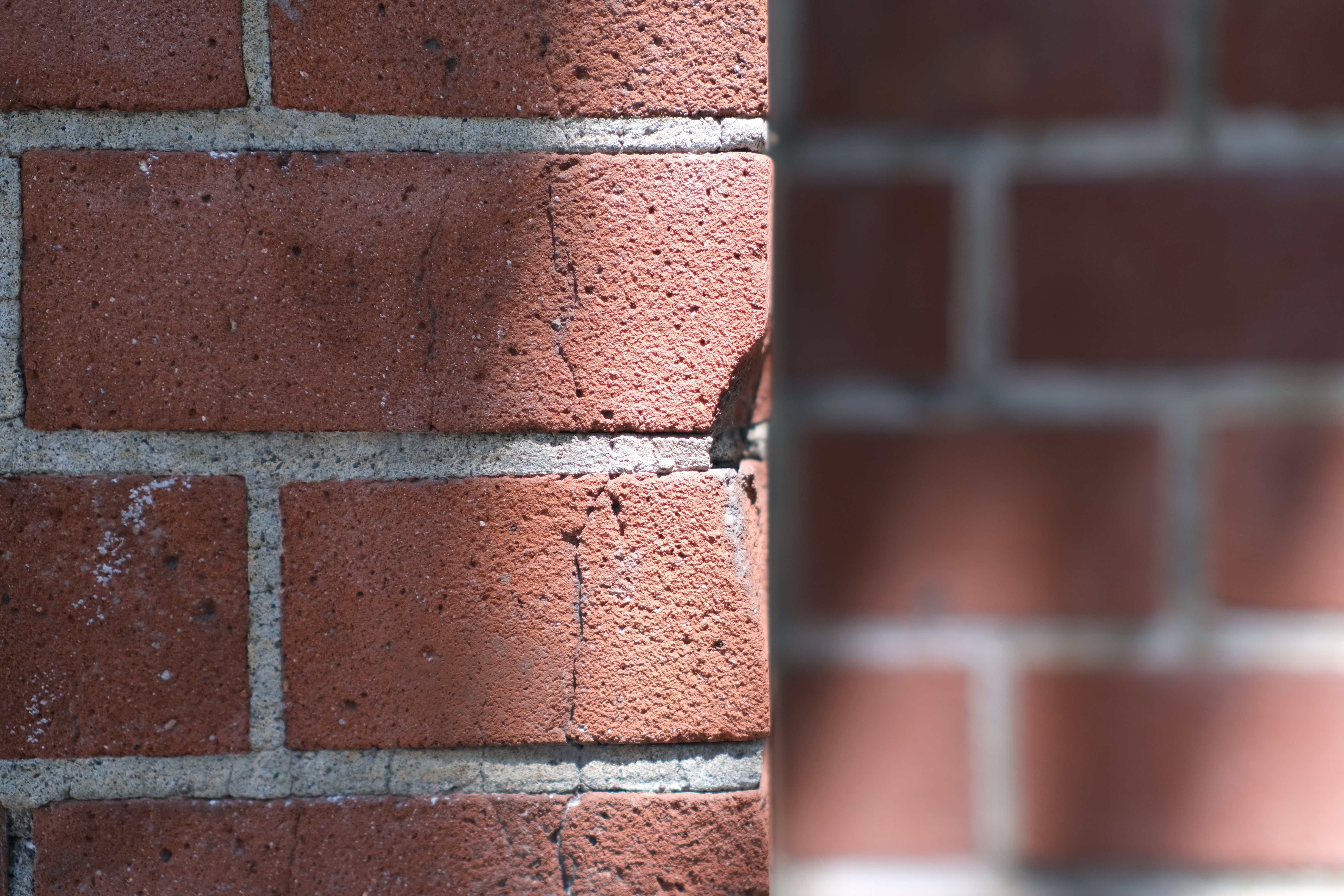 <span class="fnt-85">X-T4 / atx-m 56mm F1.4 X / 絞り優先AE（F1.4・1/950秒・±0EV） / ISO 160</span>