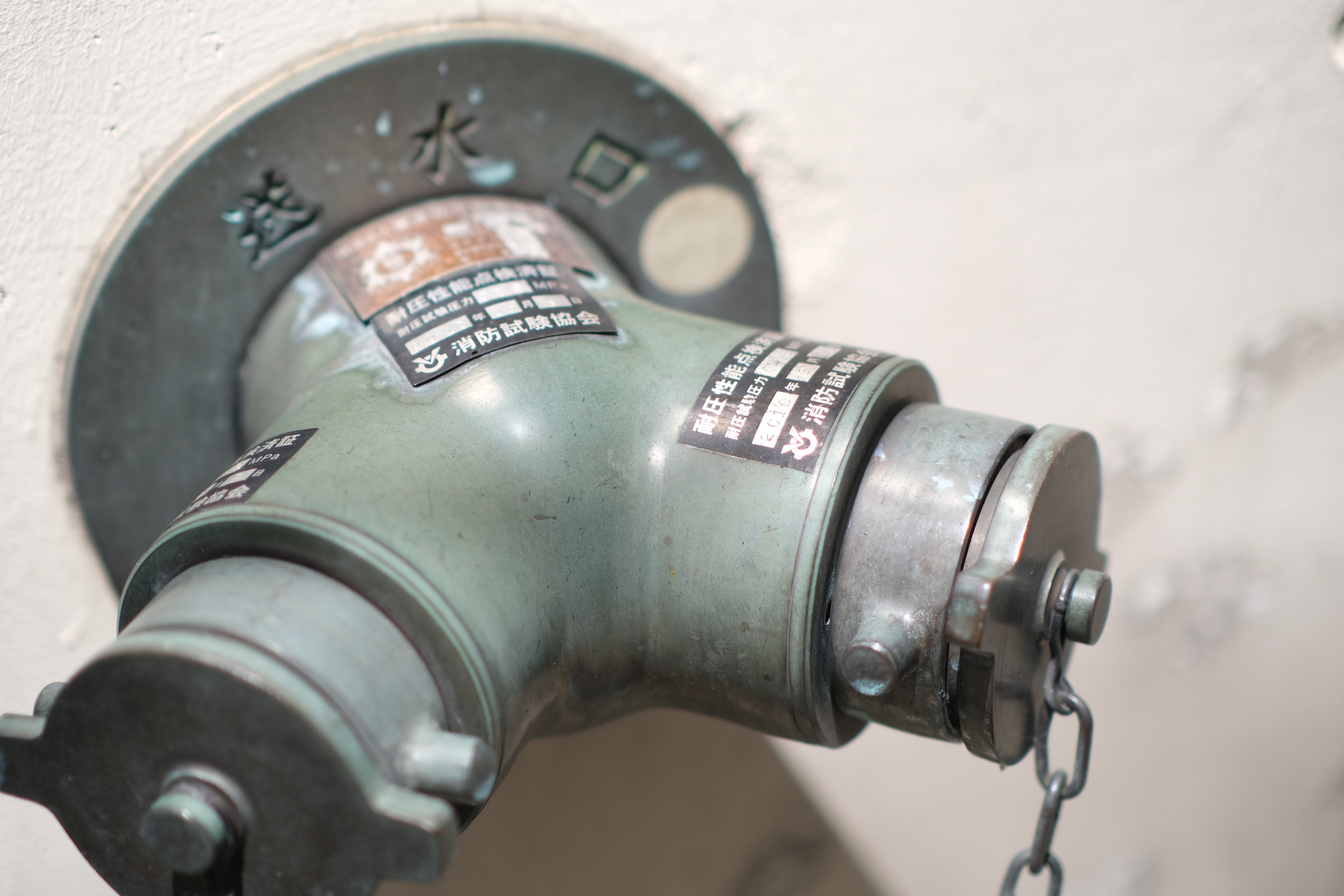 <span class="fnt-85">X-T4 / atx-m 56mm F1.4 X / 絞り優先AE（F1.4・1/8,000秒・-1.0EV） / ISO 160</span>