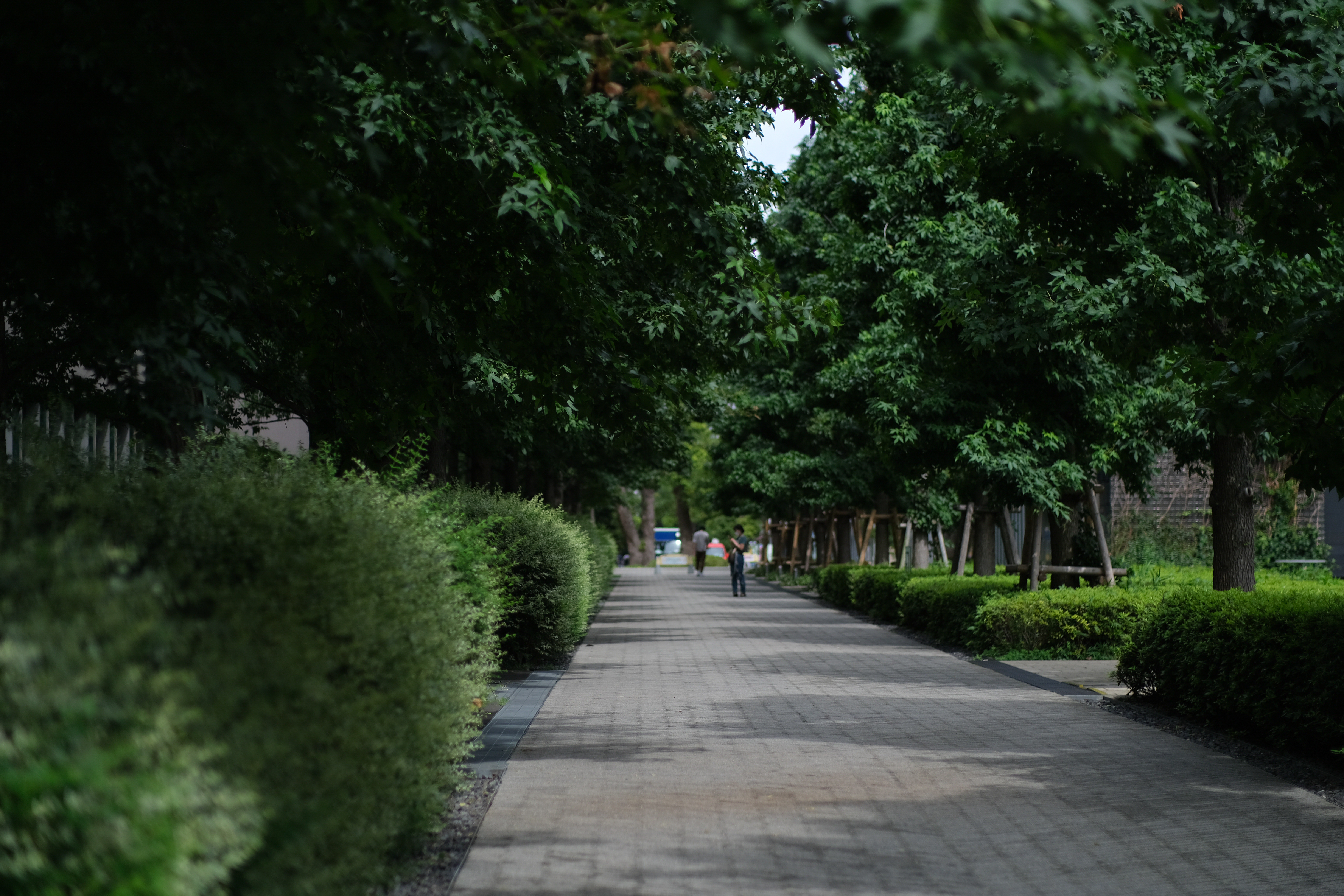 <span class="fnt-85">X-T4 / atx-m 56mm F1.4 X / 絞り優先AE（F1.4・1/5,400秒・±0EV） / ISO 160</span>