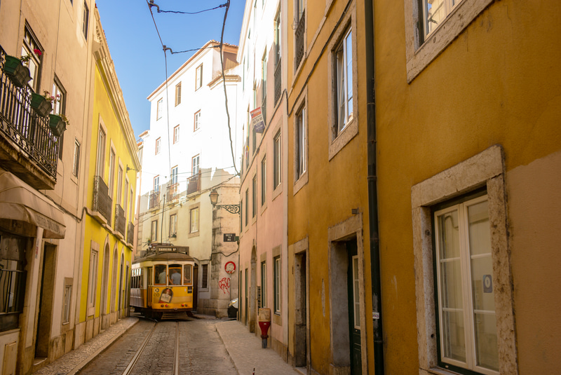 ライカM-P（Typ240）　SUMMICRON-M F2/35mm ASPH.　絞り優先オート（F2.8、1/750秒）　ISO 200　WB:日陰