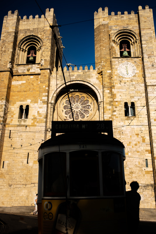 ライカM-P（Typ240）　SUMMICRON-M F2/35mm ASPH.　絞り優先オート（F4、1/4,000秒）　ISO 200　WB:日陰