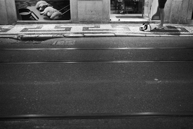 ライカM-P（Typ240）　SUMMICRON-M F2/35mm ASPH.　絞り優先オート（F16、1/60秒）　ISO 3200　WB:日陰