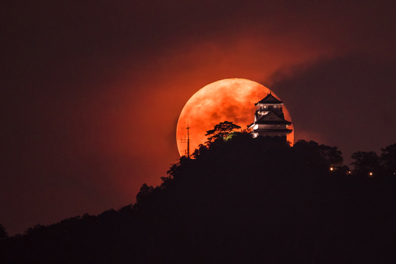 代表作のひとつ「岐阜城に昇る月 RED ver.」