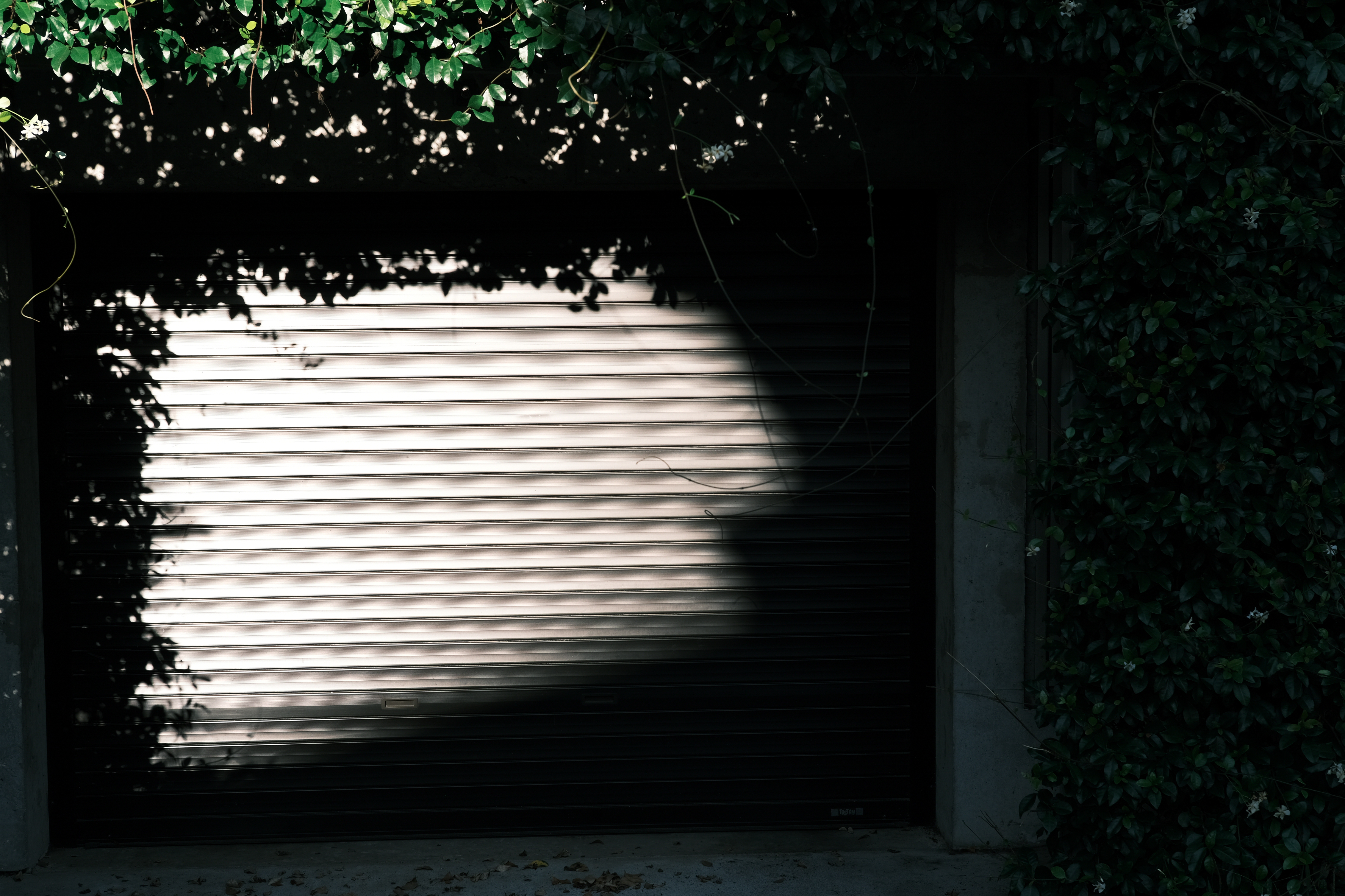 <span class="fnt-85">X-Pro3 / NOKTON 35mm F1.2 / 絞り優先AE（F5.6・1/200秒・-1.3EV） / ISO 160</span>