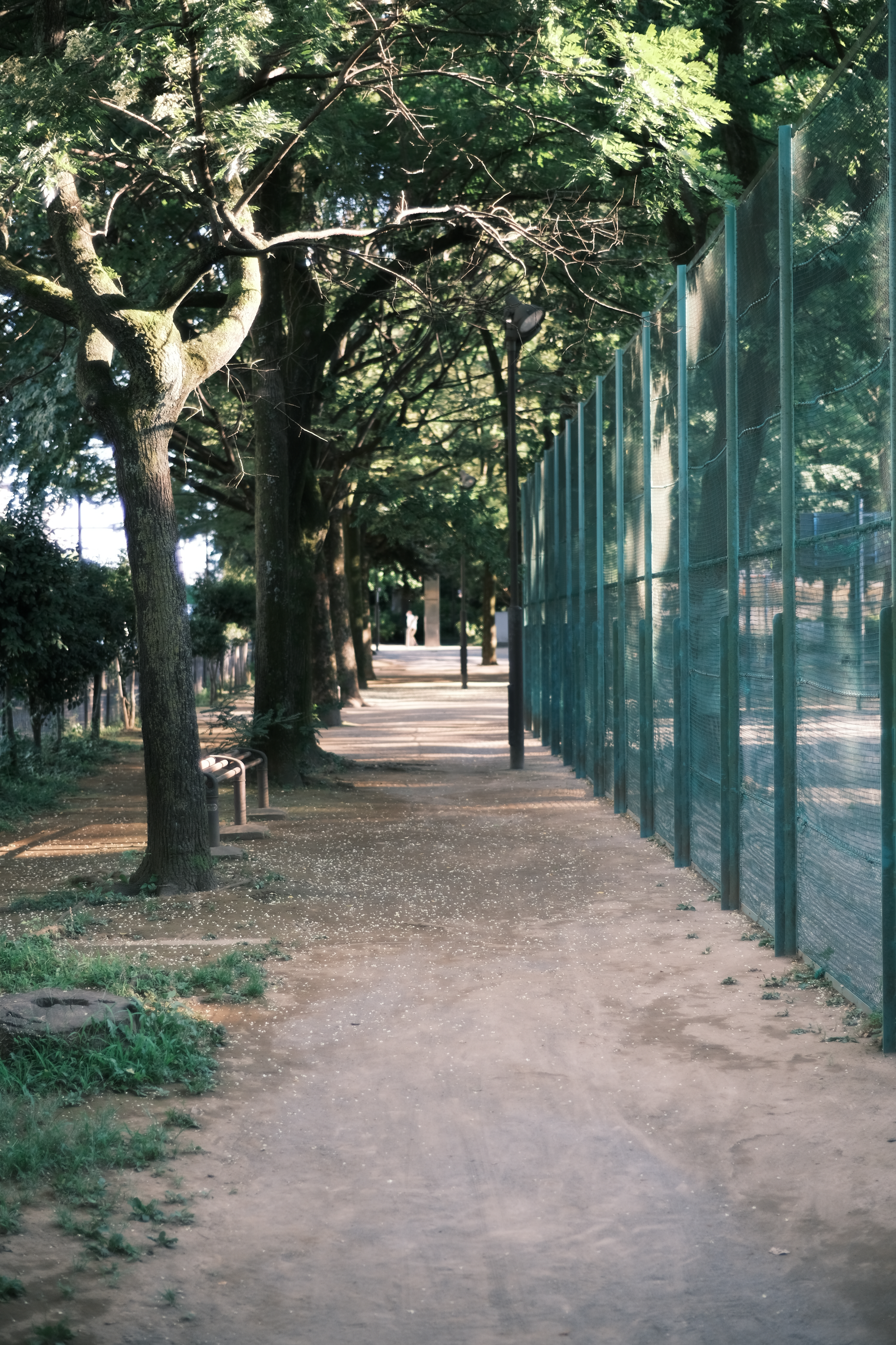 <span class="fnt-85">X-Pro3 / NOKTON 35mm F1.2 / 絞り優先AE（F1.2・1/550秒・±0EV） / ISO 160</span>