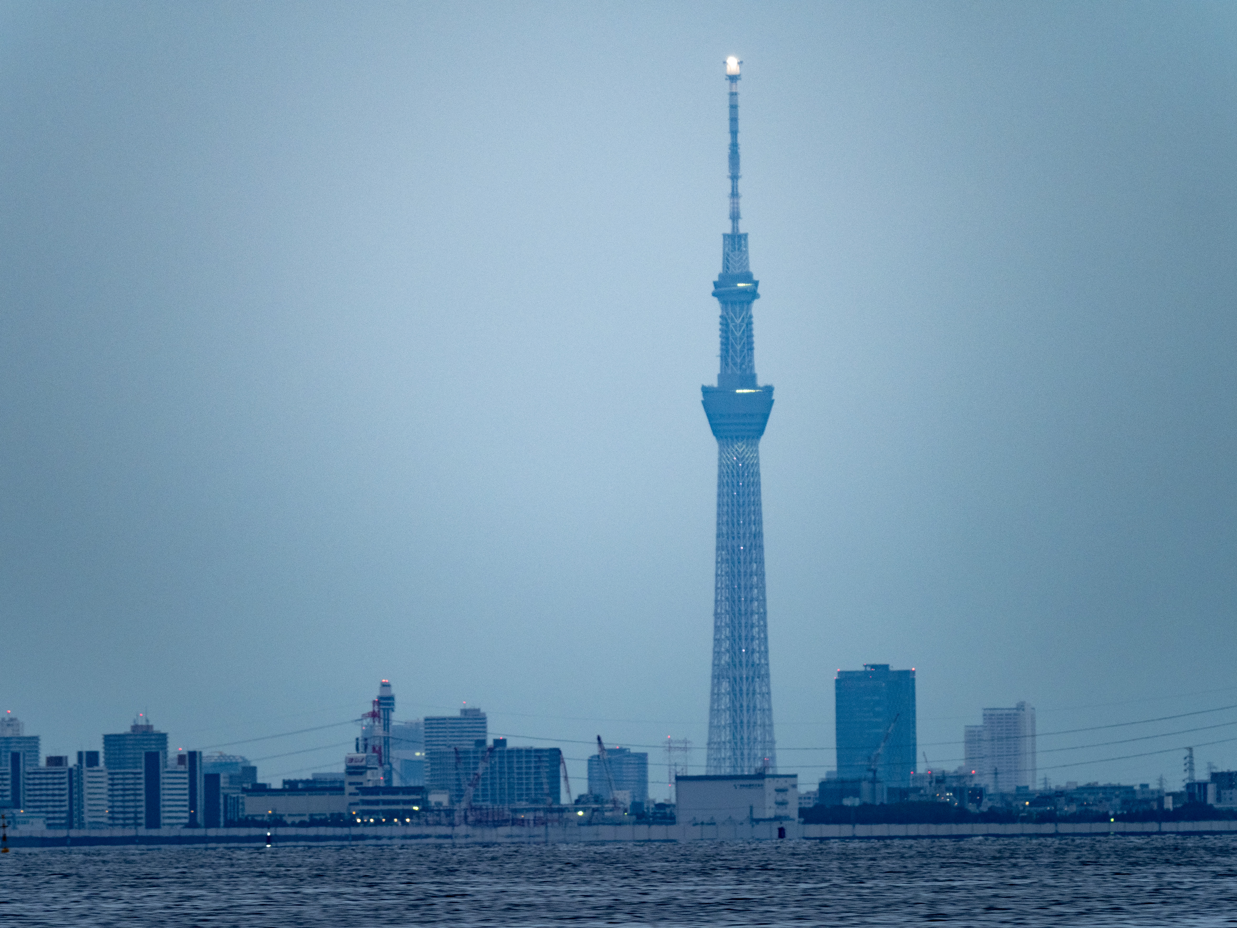 F5.6　1/25秒　ISO 200　マニュアル露出　500mmで撮影　内蔵テレコンバーター使用