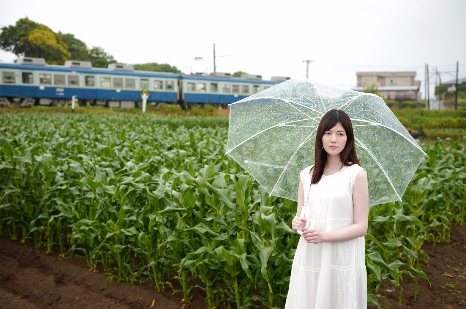 <span class="fnt-85">SIGMA fp L / 45mm F2.8 DG DN｜Contemporary / 絞り優先AE（F3.2・1/2,000秒・+0.7EV） / ISO 800 / スタンダード</span>