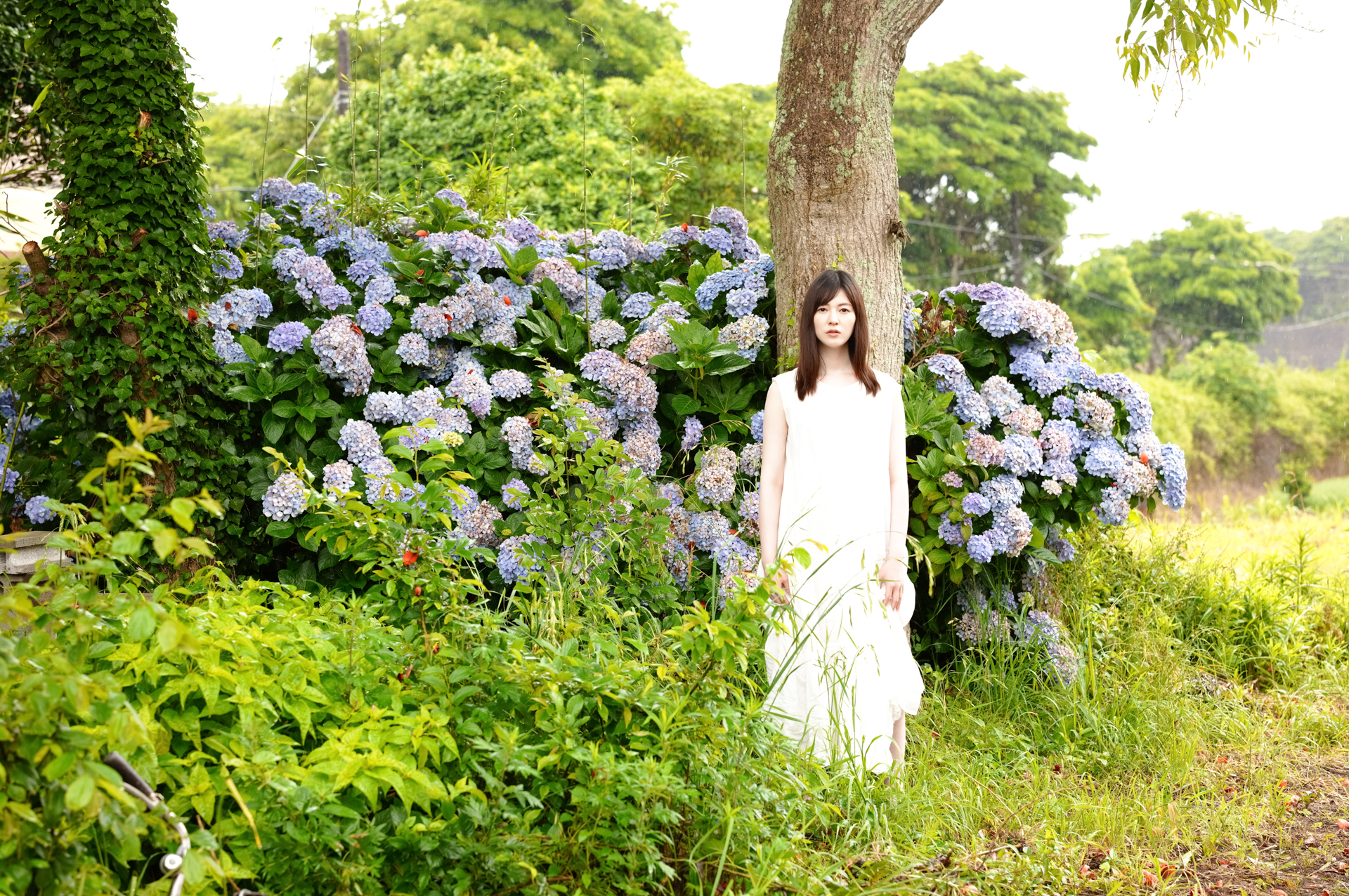 <span class="fnt-85">SIGMA fp L / 65mm F2 DG DN｜Contemporary / 絞り優先AE（F3.5・1/400秒・+1.0EV） / ISO 400 / フォレストグリーン</span>