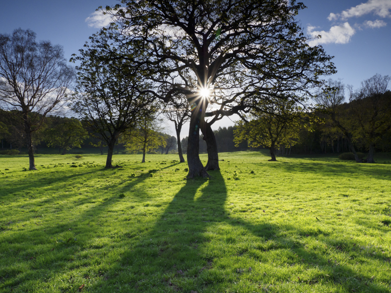 逆光で明暗差が強い場面。ハーフNDフィルターで地上部の緑色を出すことにしたが、境界を精密に決定するには、三脚にカメラを固定することが必要だった<br><span class="fnt-85">OM-D E-M1X / M.ZUIKO DIGITAL ED 12-100mm F4.0 IS PRO / 14mm（28mm相当） / 絞り優先AE（F16、1/60秒、±0EV） / ISO 640 / WB:晴天</span>