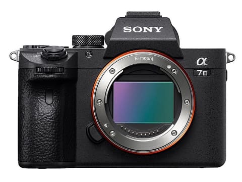 Canon EOS R6 デジタル一眼レフ デジタル一眼カメラ canon r6」の人気商品一覧 | 安い商品を通販