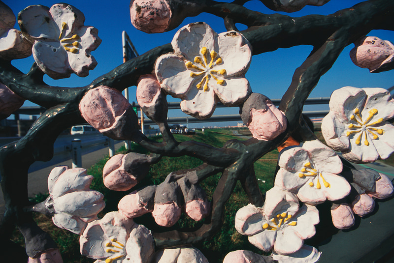 執筆にあたり、New FM2に合わせてAi Nikkor 28mm F2.8Sを探したのですが、防湿庫の奥底にお隠れになったのか、締め切りまで発見することができませんでした。ですがポジをあさっていたら撮影した写真は出てきました。すげーよく写るレンズです。最短撮影距離が0.2mということでワイドマクロ的に使えます。設計者を表彰したいです。<br>ニコンNew FM2　Ai Nikkor 28mm F2.8S（F8・1/250秒）フジクロームプロビア100F