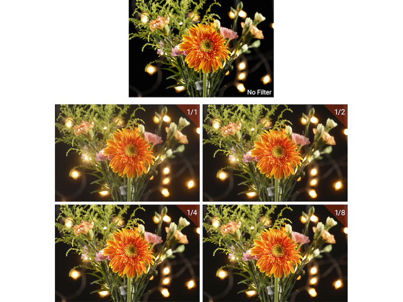 <center>効果見本（焦点工房提供）</center>