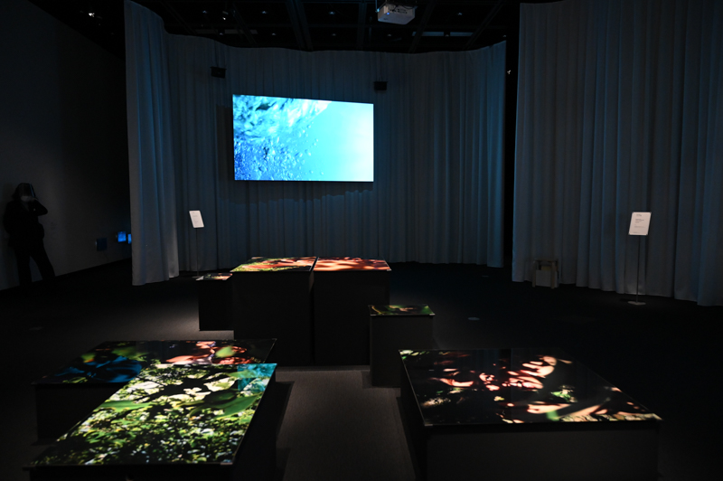 一番目の展示室。奥のスクリーンに映し出されている作品は《アーサ女》。水の音と人の息遣いが展示室内で通奏低音のように響く