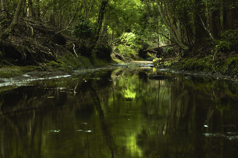 EOS R5 / 24-70mm F2.8 DG OS HSM｜Art / 70mm / マニュアル露出（0.3秒・F11） / ISO 100